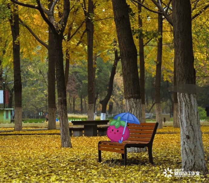 EVO��Ѷ��(�й�)����ƽ̨