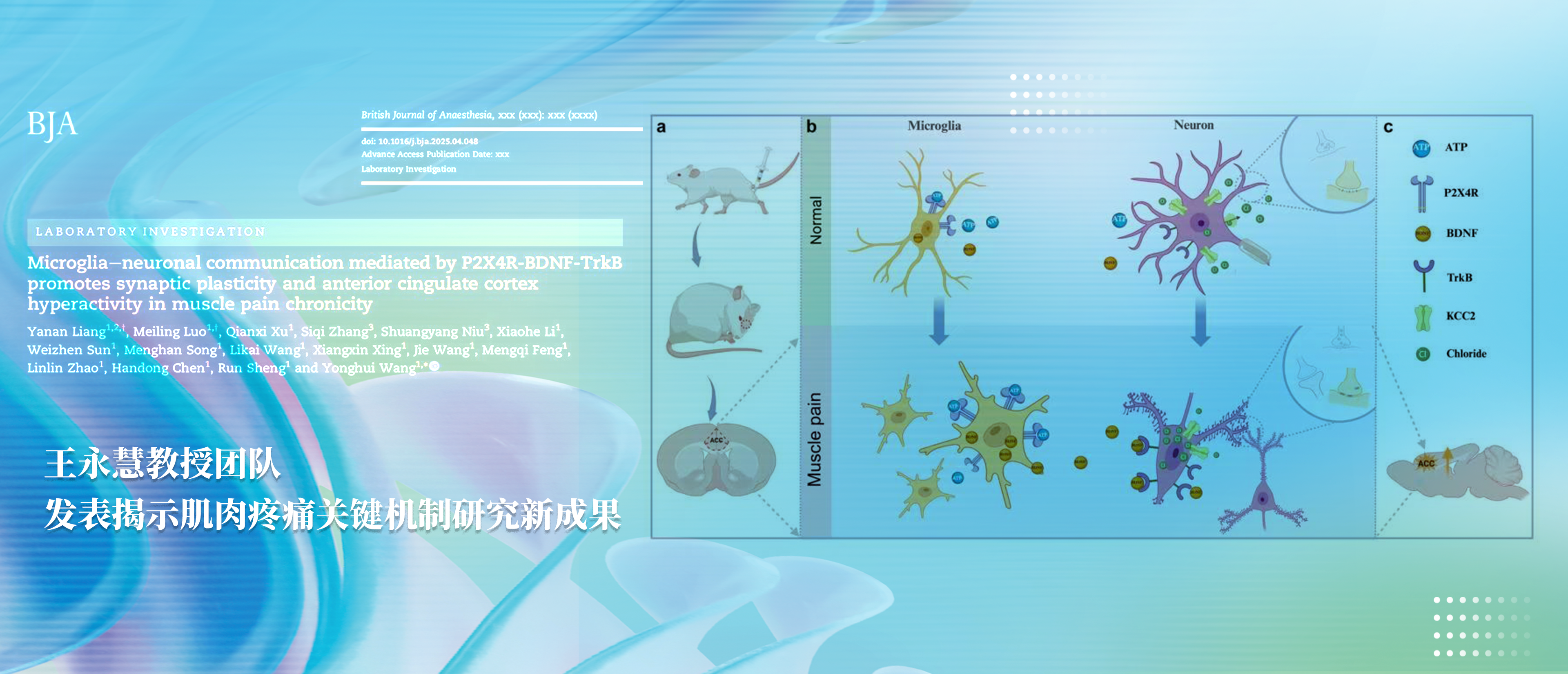 EVO��Ѷ��(�й�)����ƽ̨