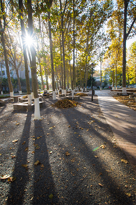 EVO��Ѷ��(�й�)����ƽ̨