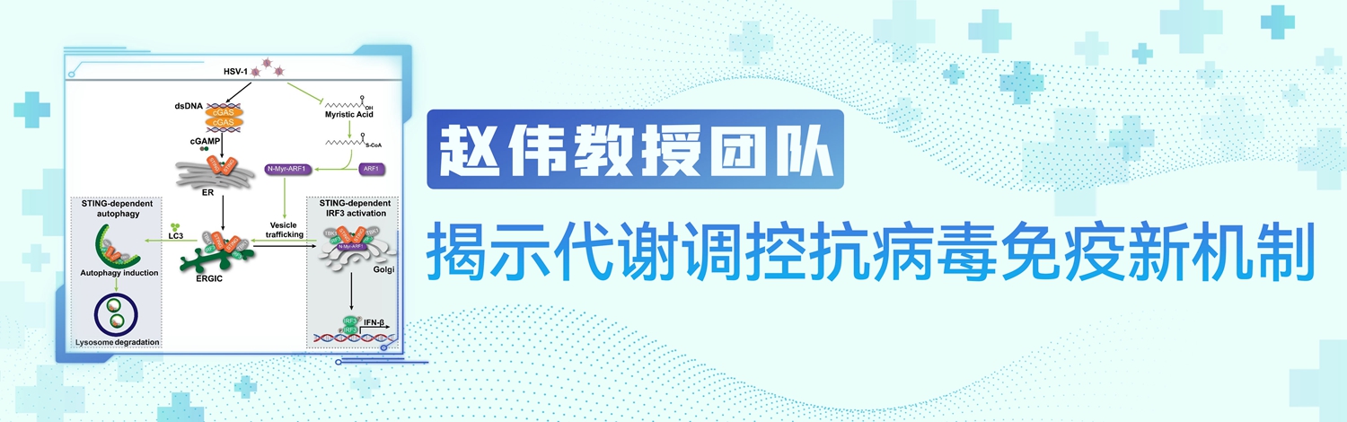 EVO��Ѷ��(�й�)����ƽ̨