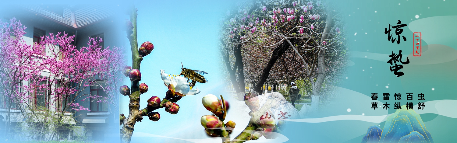 EVO��Ѷ��(�й�)����ƽ̨