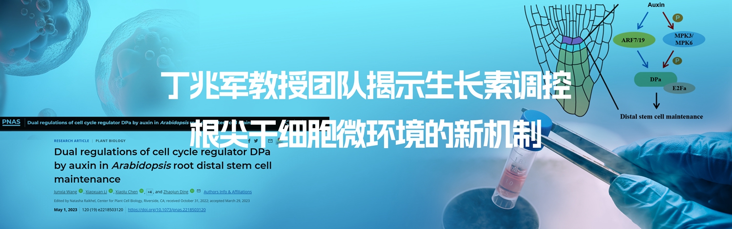 EVO��Ѷ��(�й�)����ƽ̨