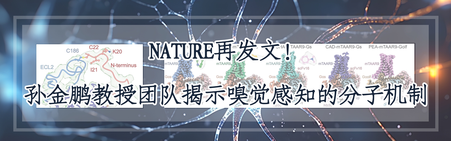 EVO��Ѷ��(�й�)����ƽ̨