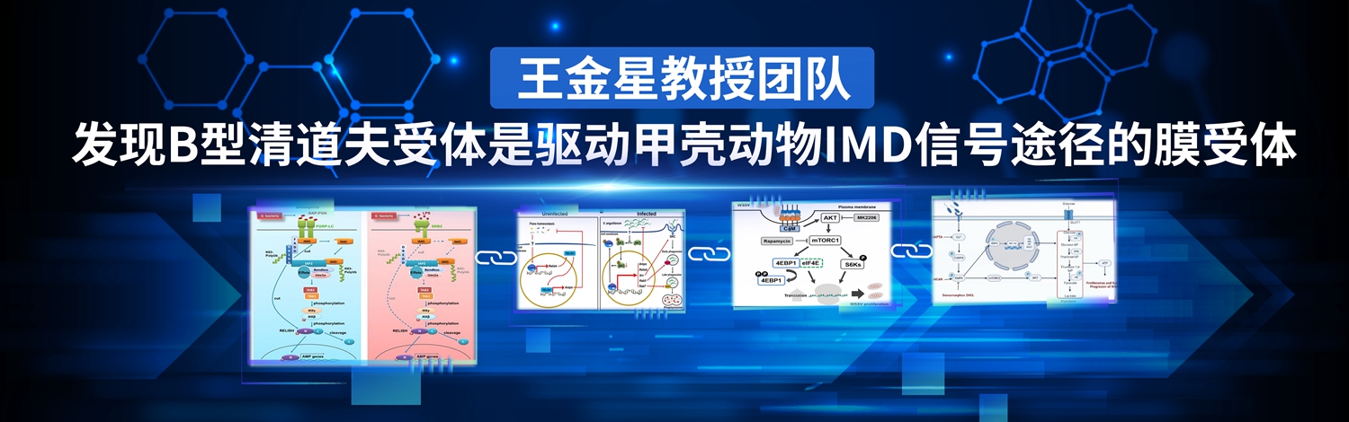 EVO��Ѷ��(�й�)����ƽ̨