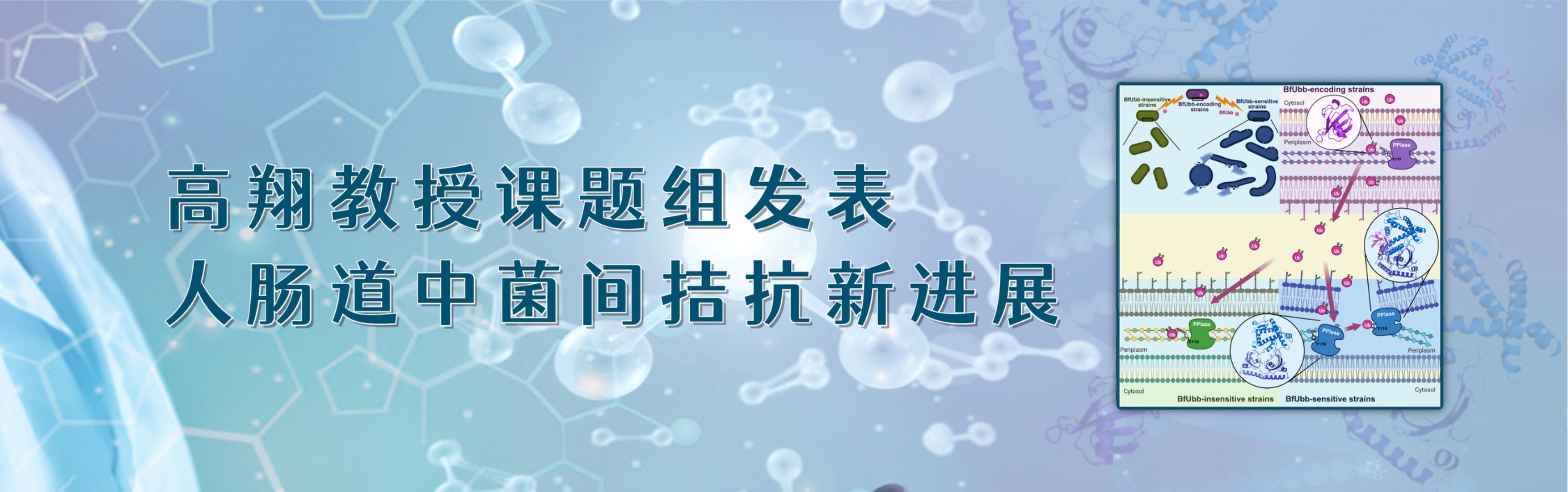 EVO��Ѷ��(�й�)����ƽ̨