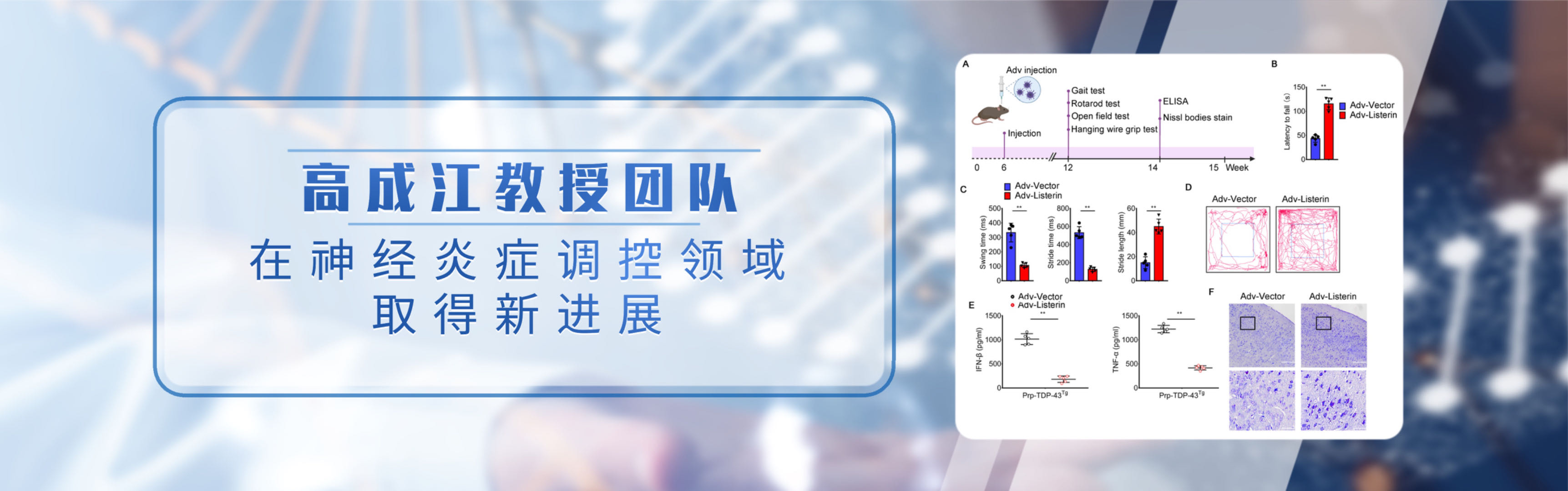 EVO��Ѷ��(�й�)����ƽ̨