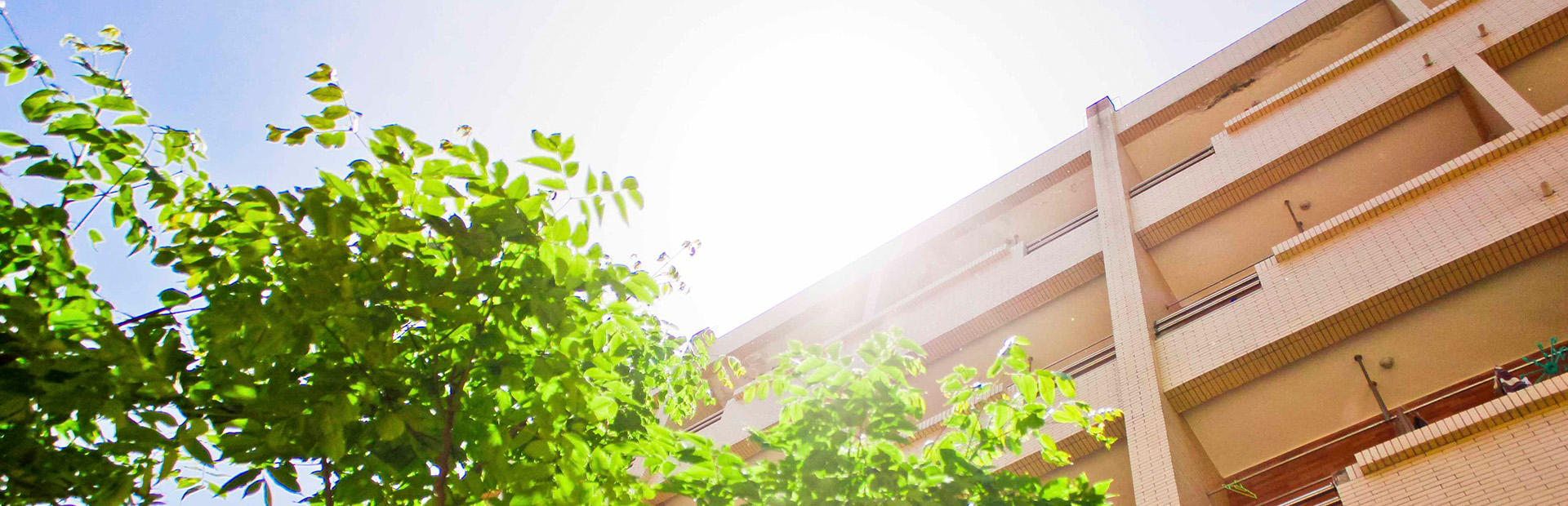 EVO��Ѷ��(�й�)����ƽ̨