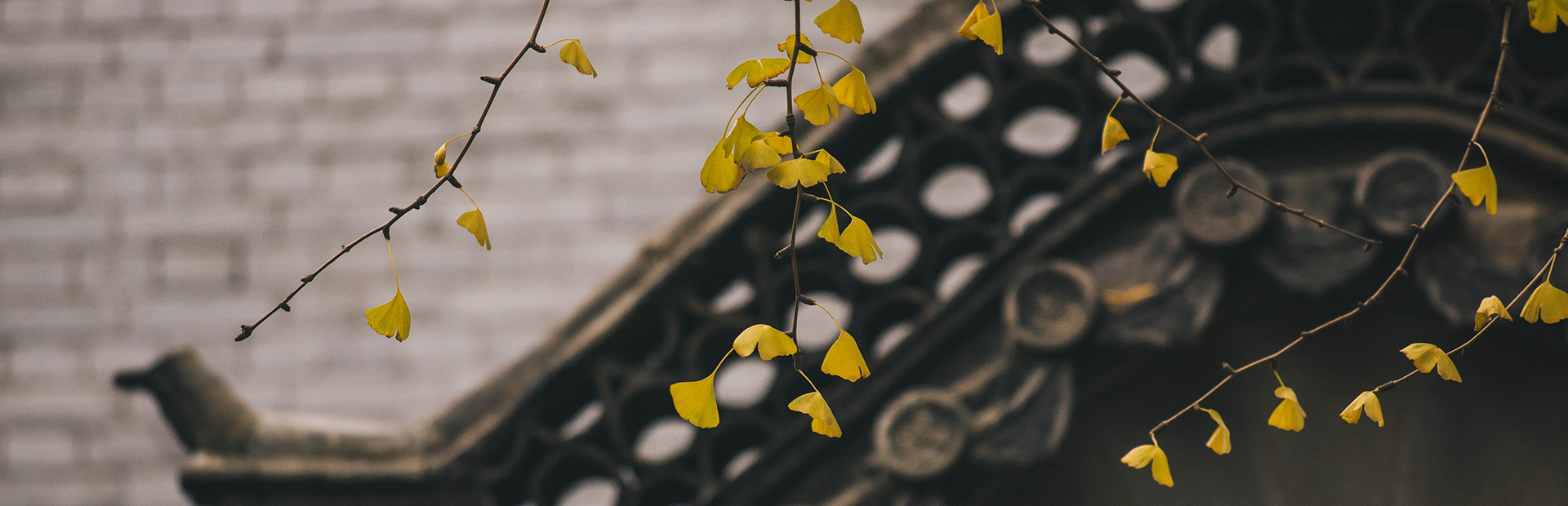 EVO��Ѷ��(�й�)����ƽ̨